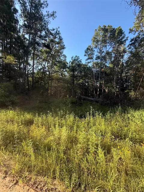 tbd Charlie Pride Dr, Livingston, TX 77351