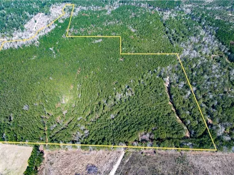 1 Lyons Cemetery Rd, Moscow, TX 75960