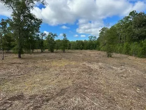 tbd Labrador Ln, Wallisville, TX 77597
