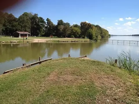 View/Area - 154 Pintail Ln, Trinity, TX 75862 photo 9 of 9