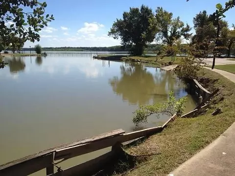 View/Area - 154 Pintail Ln, Trinity, TX 75862 photo 4 of 9