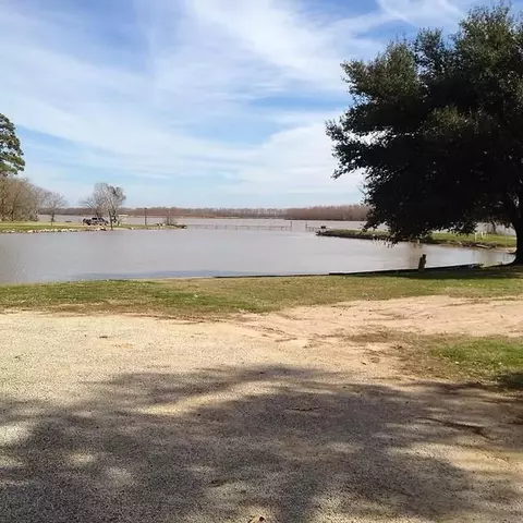 View/Area - 154 Pintail Ln, Trinity, TX 75862 photo 6 of 9