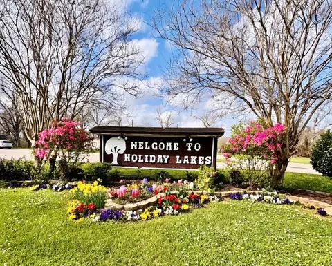 lot22 Igloo Ln, Holiday Lakes, TX 77515