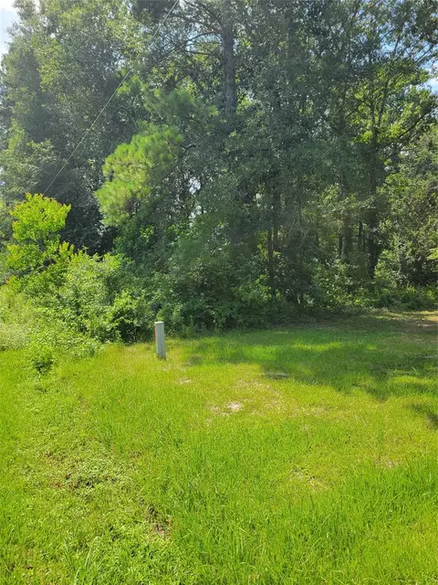 27735 Mid Ln, Splendora, TX 77372 photo 5