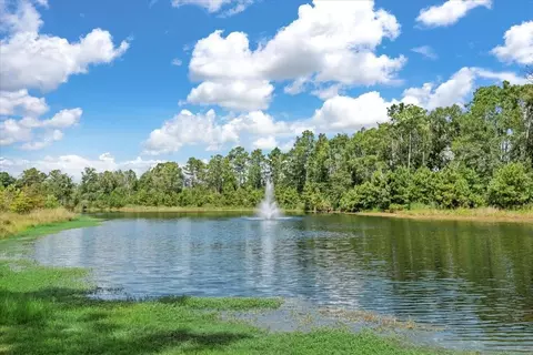 View/Area - 4071 Northern Spruce Dr, Spring, TX 77386 photo 4 of 9