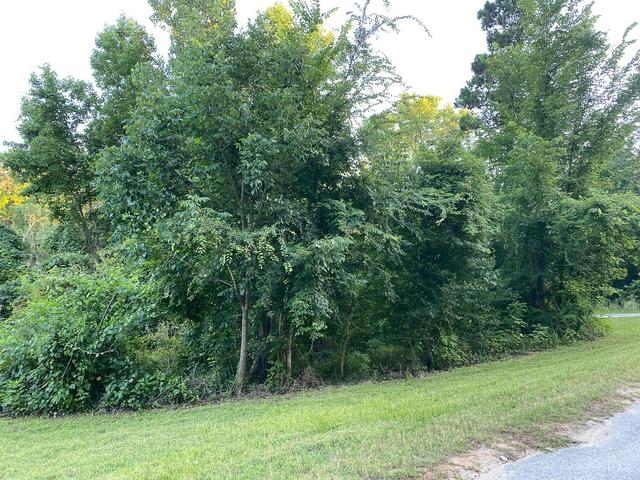 01 White Oak Dr, Point Blank, TX 77364