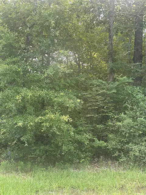 tbd Knottypine, Livingston, TX 77351