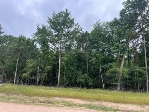 tbd Ellwood Dr, Livingston, TX 77351