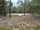 7389 Teaswood Dr, Conroe, TX 77304