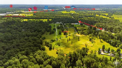 lot1 Mouse Brown Rd, Livingston, TX 77351