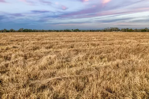 10444 County Road 318, Caldwell, TX 77836