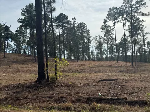 000896 County Road 219, Brookeland, TX 75931