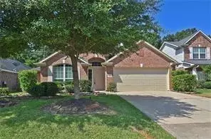 14043 Albany Springs Ln, Houston, TX 77044