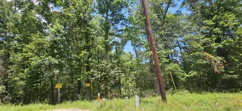 0 Harrell Rd, Coldspring, TX 77331