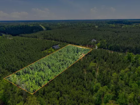 11997 High Branch Way, Willis, TX 77378