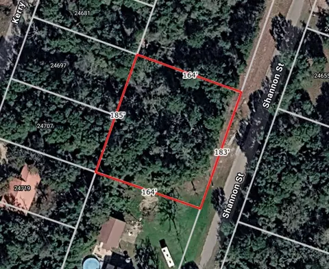 lot35 Shannon St, Hempstead, TX 77445