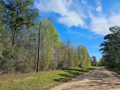 0 Magnolia Woods Dr, Livingston, TX 77351