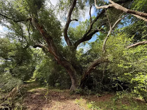 6827 Bryan Rd, Jones Creek, TX 77541