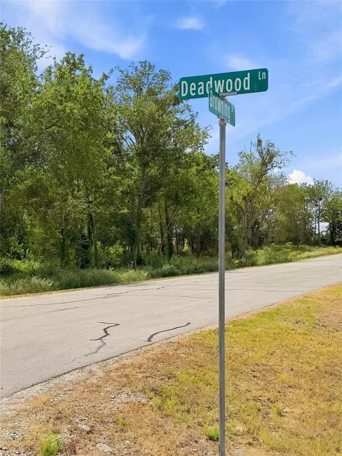 4666 Deadwood Ln, Bryan, TX 77808 photo 3