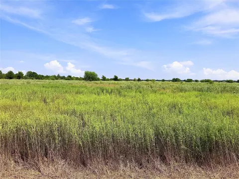 4666 Deadwood Ln, Bryan, TX 77808 photo 4