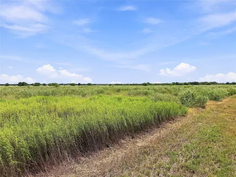 4666 Deadwood Ln, Bryan, TX 77808 photo 5