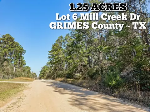 13167 Mill Creek Dr N, Plantersville, TX 77363