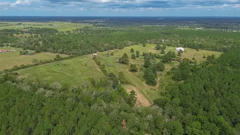 Other - 382 Hinson Rd, Lovelady, TX 75851 photo 10 of 10