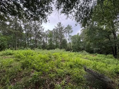 268 Cedar Valley Rd, Coldspring, TX 77331