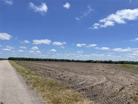 0 Charlie Meyer Rd, Damon, TX 77430