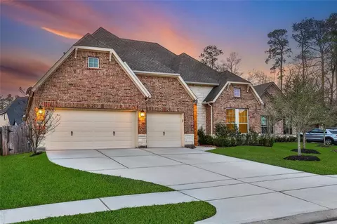 32193 Park Plains Dr, Conroe, TX 77385 photo 1