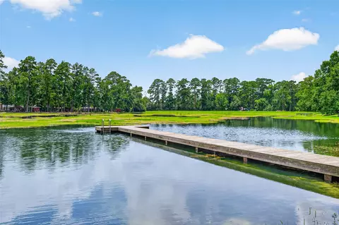 10063 Lake Shore Dr, Montgomery, TX 77316