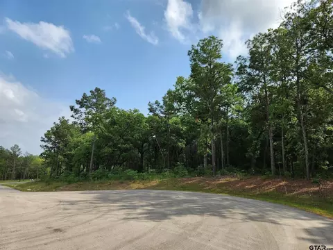 3281 Shadow Pine Dr Lot, Larue, TX 75770