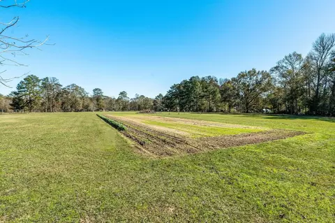 Other - 15091 W Fm 1485 Rd, Conroe, TX 77306 photo 9 of 11