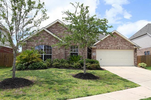 12110 Bright Lndg, Pearland, TX 77584