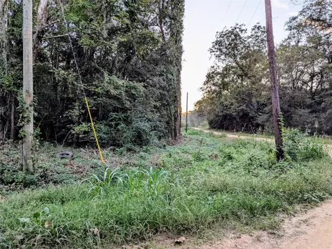tbd River St, Coldspring, TX 77331