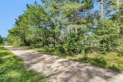 6493 Planters Row Lane Ln, Plantersville, TX 77363
