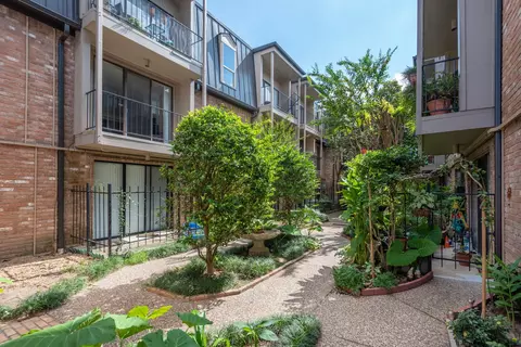 2400 N Braeswood Blvd #220, Houston, TX 77030