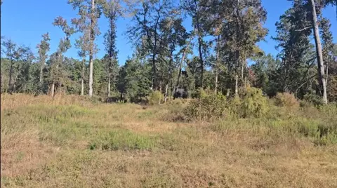 Tract C-4 Gaff Road, Magnolia, TX 77355