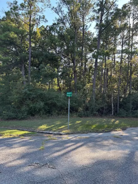 tbd Ash Ct 1, Huntsville, TX 77320