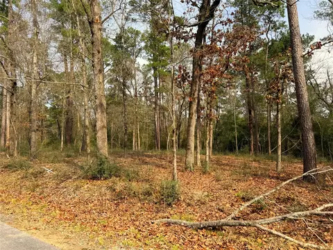 195 Walnut Cir, Trinity, TX 75862 photo 3