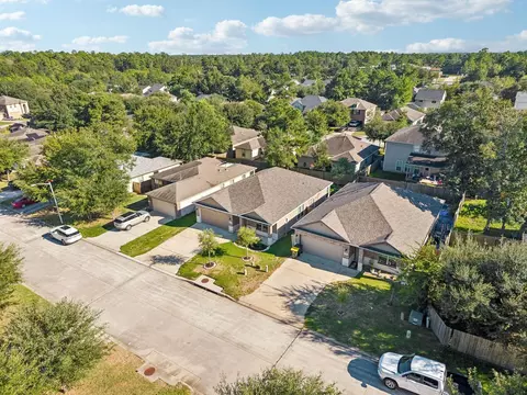 View/Area - 802 Lovebug Ln, Conroe, TX 77301 photo 4 of 6