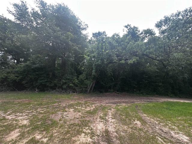 tbd Old Israel Rd, Livingston, TX 77351