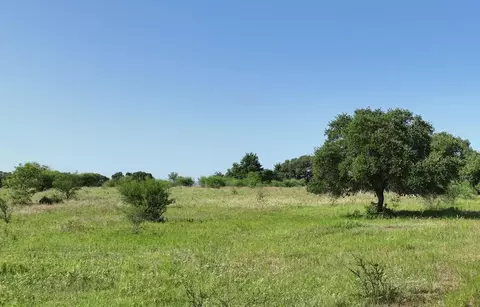 Tba Cr 209, Weimar, TX 78962