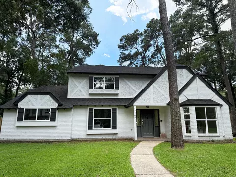 17207 Hill View Ln, Spring, TX 77379 photo 1