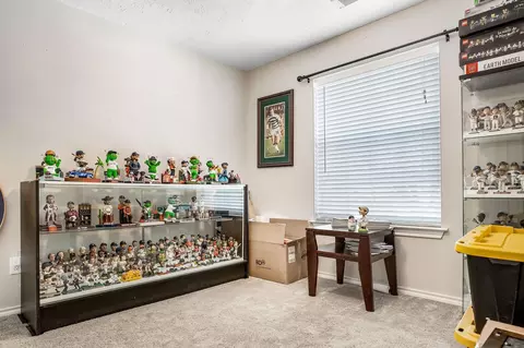 Other - 20915 Sandy Briar Ct, Spring, TX 77379 photo 5 of 6