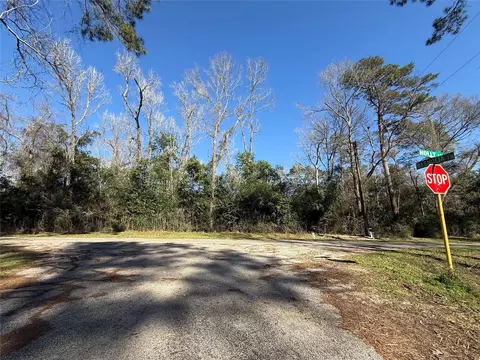 21927 Holly Ln, New Caney, TX 77357
