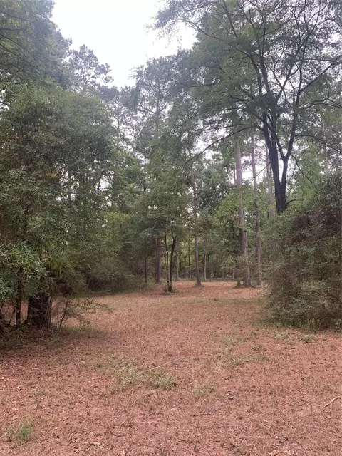 tbd Oak Pine Dr, Livingston, TX 77351
