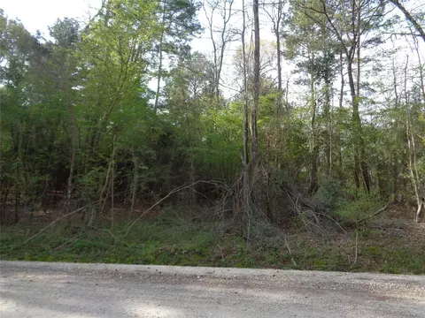 000 Old Colony Rd, Huntsville, TX 77320