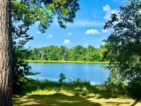 tbd Lakeland Rnch #LOT 392393, Hillister, TX 77624