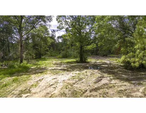 tbd Lot 002 Holland Rd, Moscow, TX 75960